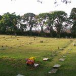 Cemitério Necrópole Campo Santo