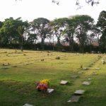 Floricultura Cemitério Campo Santo – Guarulhos – SP