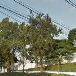 Cemitério Central Velho de Cotia - Cotia - SP