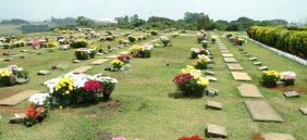 Floricultura Cemitério Colina dos Ipes – Suzano – SP