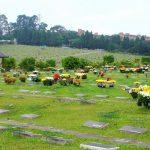 Floricultura Cemitério Carmo – SP