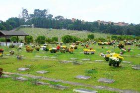 Floricultura Cemitério Carmo – SP