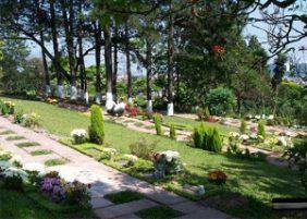 Floricultura Cemitério Gethsêmani – Morumbi