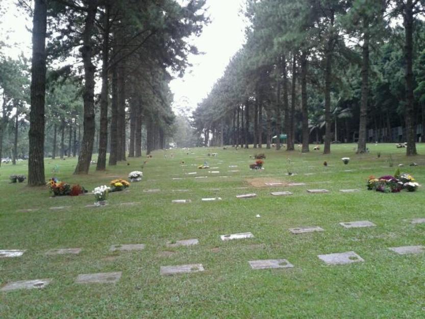 Floricultura Cemitério Jardim da Colina - São Bernardo do 