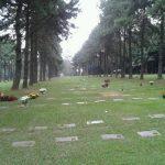 Floricultura Cemitério Jardim das Colinas – São Bernardo do Campo – SP