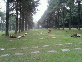 Floricultura Cemitério Jardim das Colinas – São Bernardo do Campo – SP