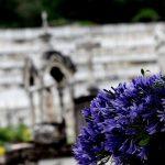 Cemitério Municipal do Cipó