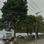 Floricultura Cemitério Municipal de Itaquaquecetuba – São Paulo