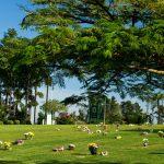 Cemitério Parque dos Pinheiros