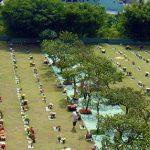 Floricultura Cemitério Parque dos Pinheirais – Mauá – SP