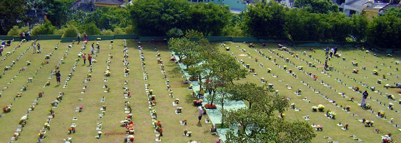 Floricultura Cemitério Parque dos Pinheirais - Mauá - SP