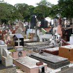 Floricultura Cemitério São Salvador – Mogi das Cruzes – São Paulo