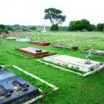 Floricultura Cemitério de Braslândia – Brasília