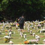 Floricultura Cemitério Campo da Esperança – Brasília