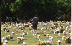 Floricultura Cemitério Campo da Esperança – Brasília