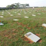 Floricultura Cemitério Parque dos Lírios