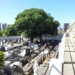 Cemitério do Campo Santo