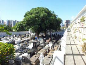 Floricultura Cemitério do Campo Santo