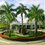 Floricultura Cemitério Colina da Saudade