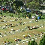 Floricultura Cemitério Crematório Parque Flores
