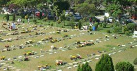 Floricultura Cemitério Crematório Parque Flores