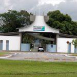 Floricultura Cemitério Grande Planície