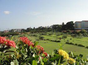 Floricultura Cemitério Parque Bosque da Paz – Salvador