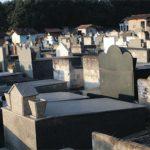 Floricultura Cemitério Paroquial Nossa Senhora do Carmo