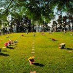 Floricultura Cemitério Parque das Colinas Verdes – Franco da Rocha – SP