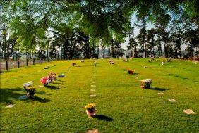 Floricultura Cemitério Parque das Colinas Verdes – Franco da Rocha – SP