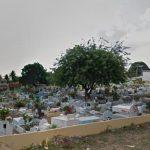 Floricultura Cemitério Público de Igapó