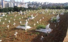 Floricultura Cemitério Quinta dos Lázaros