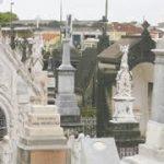 Floricultura Cemitério Memorial da Paz