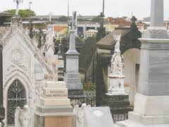 Floricultura Cemitério Memorial da Paz