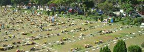 Floricultura Cemitério Parque das Flores – Recife