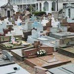 Floricultura Cemitério Parque Jardim da Esperança