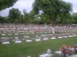 Floricultura Cemitério Parque da Saudade – Fortaleza – CE