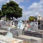 Floricultura Cemitério Público da Redinha