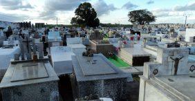 Floricultura Cemitério Santo Antônio – Manaus