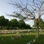 Cemitério Parque da Paz - Maceió - AL