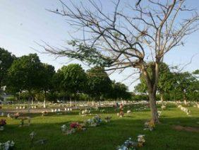 Floricultura Cemitério Parque da Paz – Maceió – AL