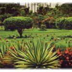 Cemitério Jardim da Saudade 2