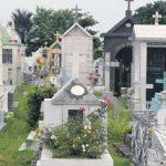 Floricultura Cemitério de Manicoré