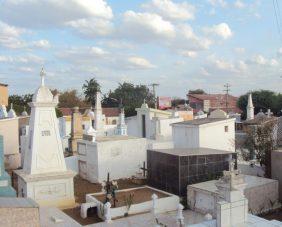 Floricultura Cemitério Público de Araquém