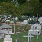 Floricultura Cemitério do Araçás