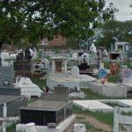 Floricultura Cemitério Jardim das Acácias