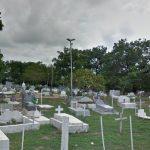 Floricultura Cemitério Municipal São Gregório