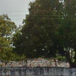 Floricultura Cemitério Poti Velho – PI