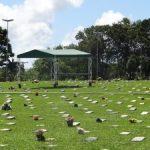 Floricultura Cemitério Parque das Palmeiras – Ananindeua