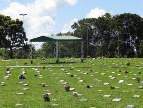 Floricultura Cemitério Parque das Palmeiras – Ananindeua